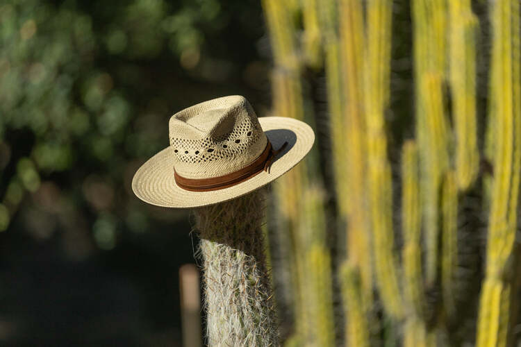 Avalon Toyo Straw Fedora - Image 5