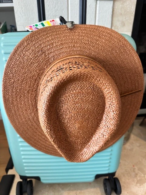 Hat Bag Clip for Luggage - Image 4